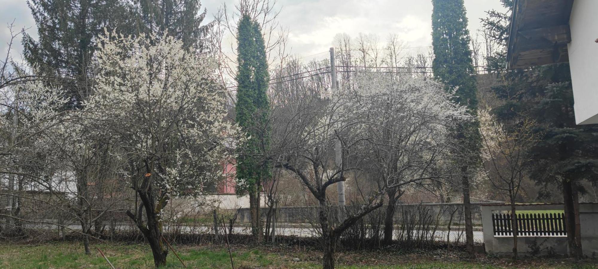 Хан Костина - Han Kostina Ribarica Εξωτερικό φωτογραφία